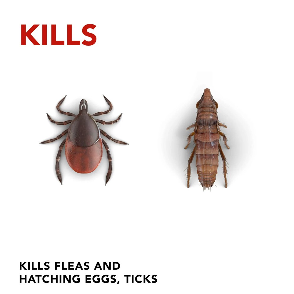 3 Cans Raid Flea Killer Plus Carpet & Room Spray Kills Fleas Bed Bugs Eggs 18oz