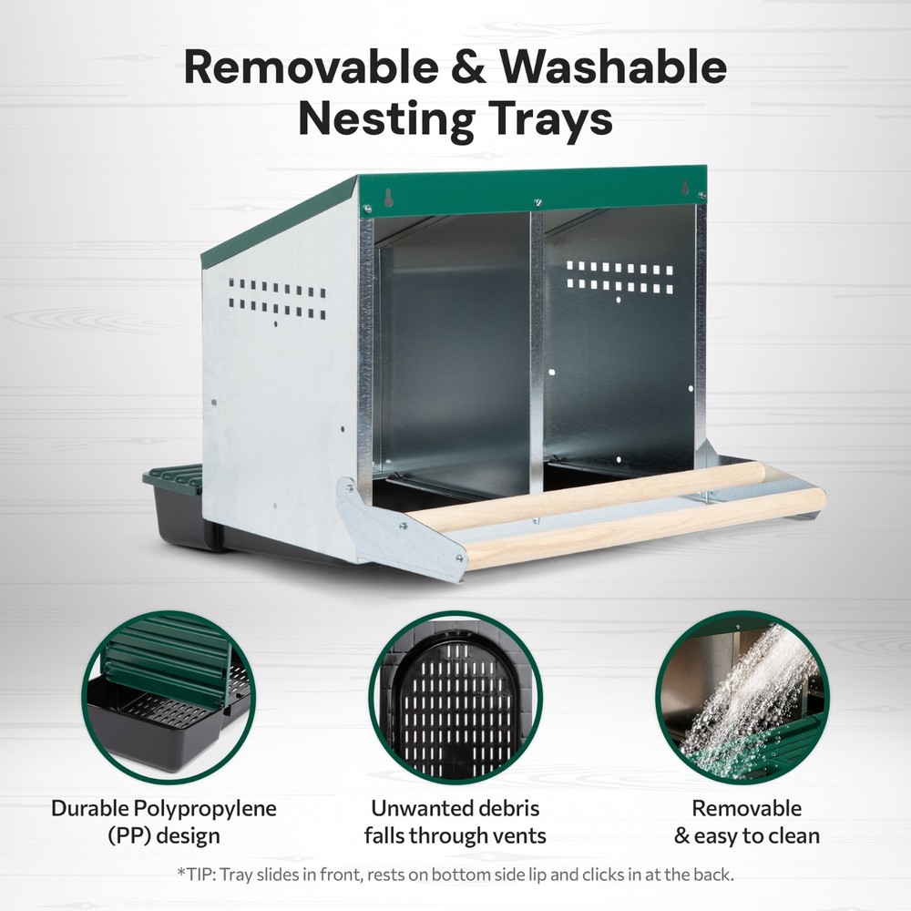 Homestead Essentials 2 Compartment Reverse Roll Out Chicken Nesting Box w/ Lids