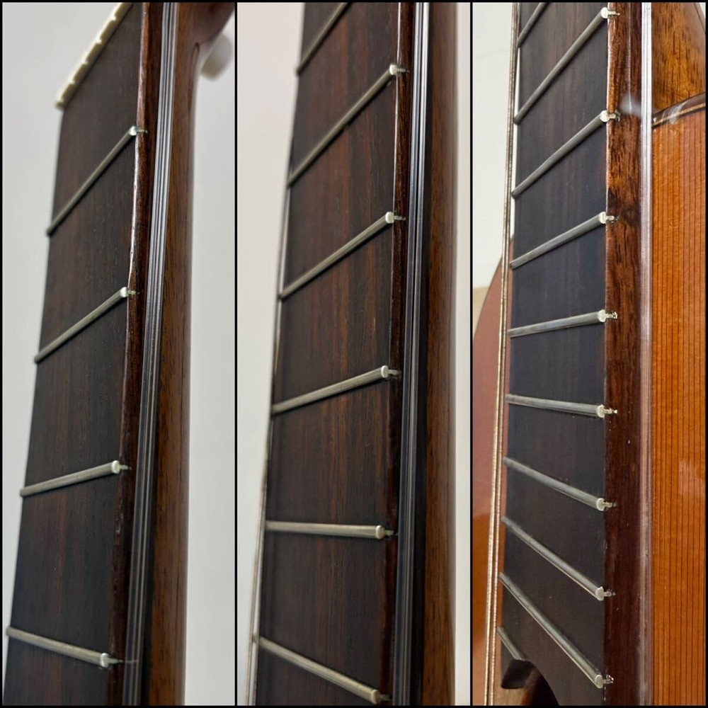 Jose Antonio Gut Classical Guitar Soft Case 6-String