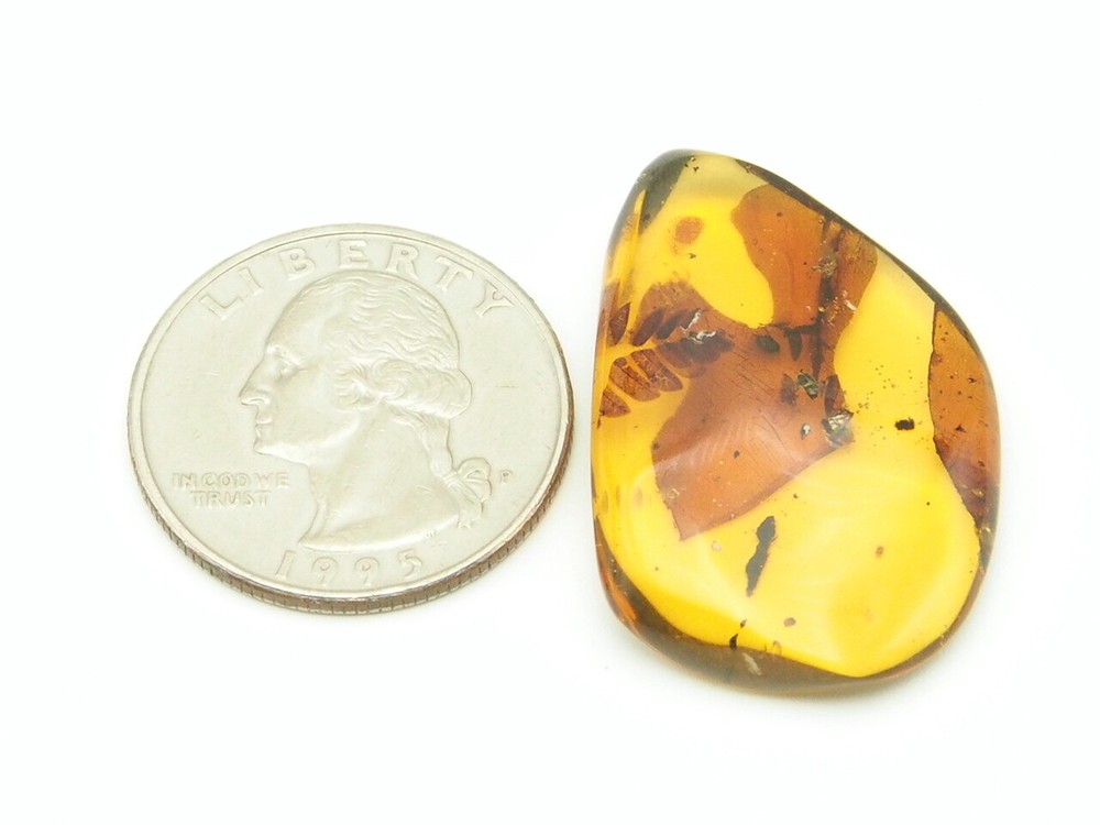 Mexican Amber with Plant Inclusion 2.8 g