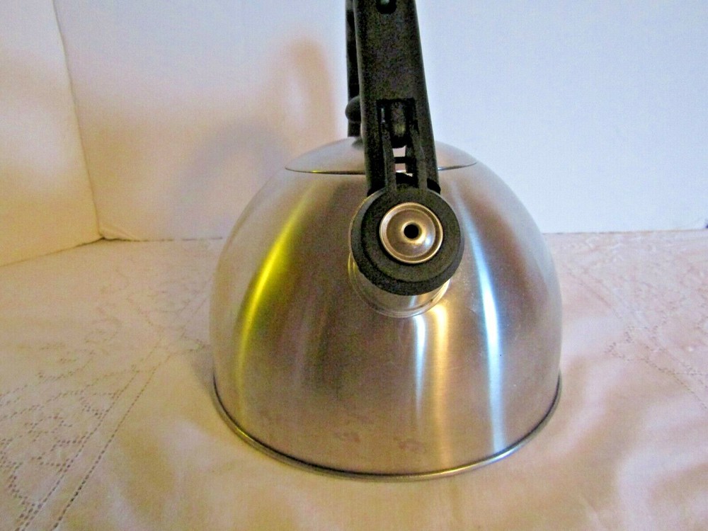 Stainless Steel Tea Kettle Creative Home Whistling 2.8 Qt