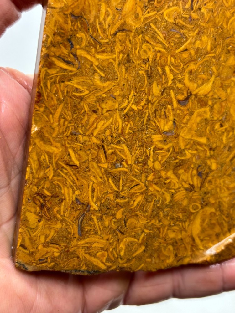Script Stone Jasper Slab Cabbing Lapidary Collecting Combo Ship Avail
