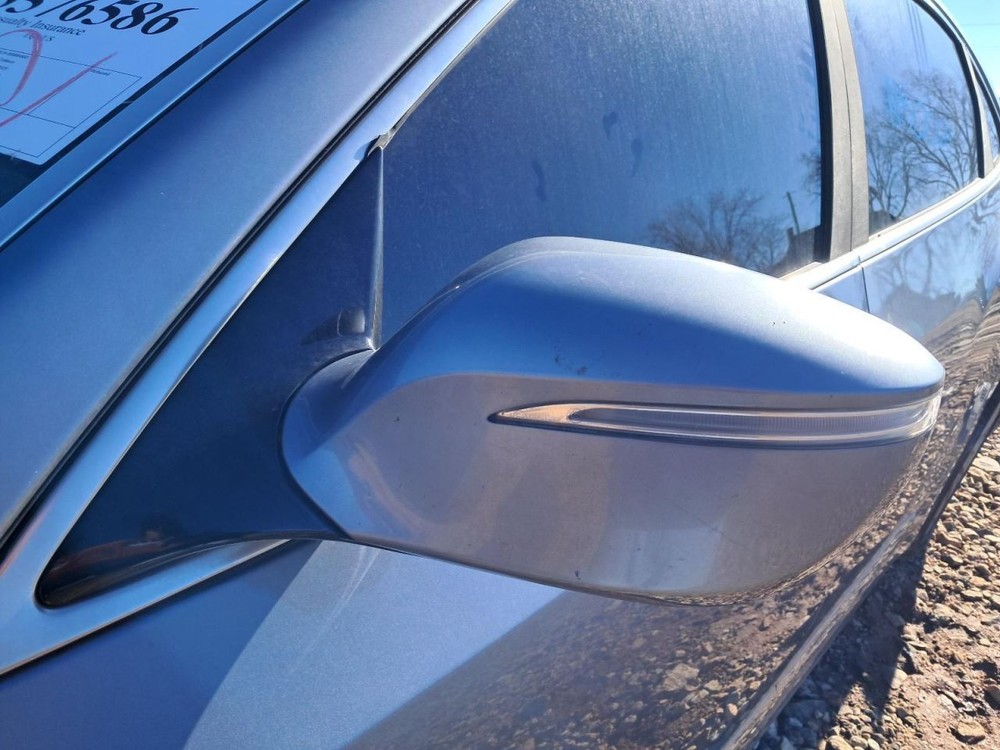EQUUS 2014 Glove Box 4905526