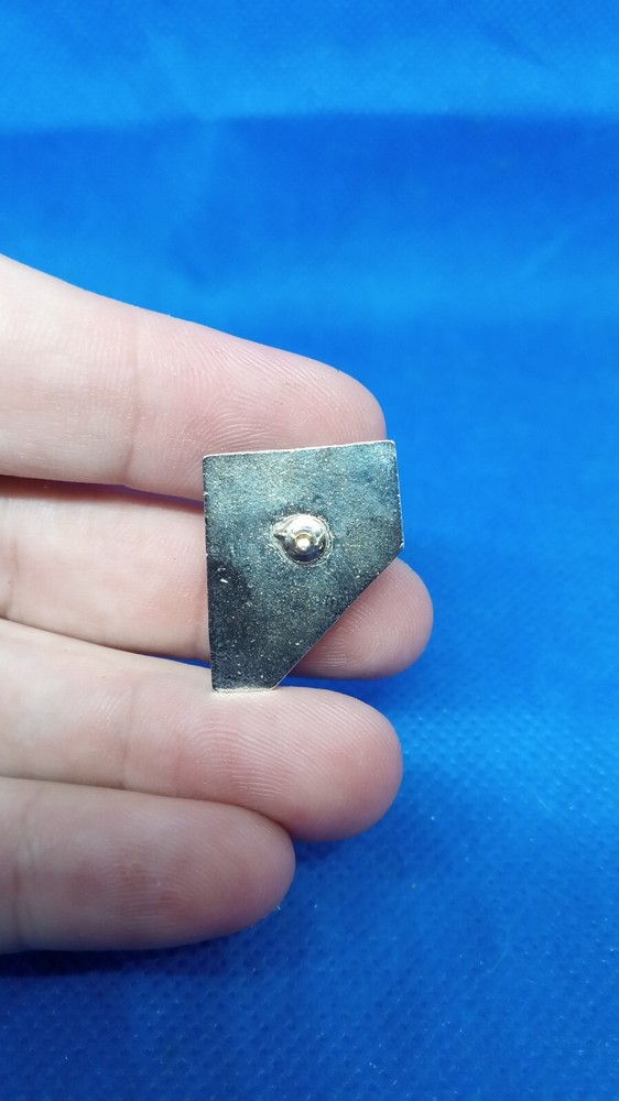 Nevada State Pin