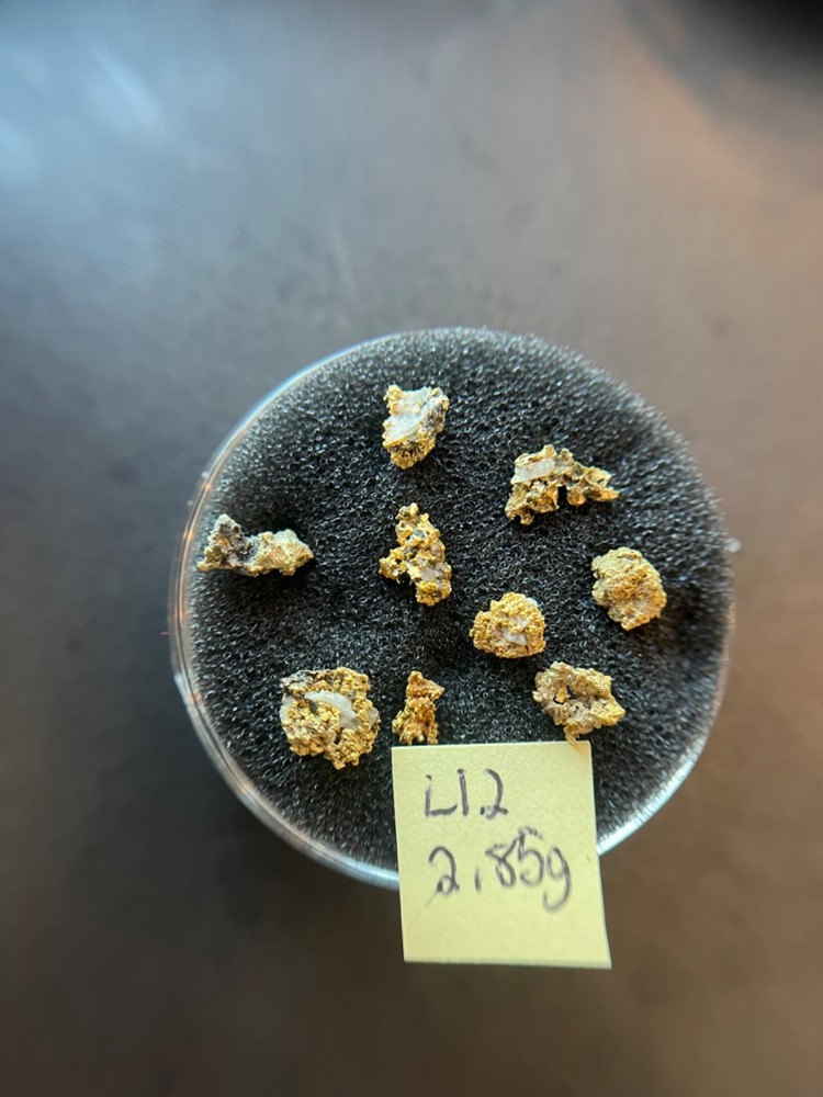 Idaho Gold Nuggets 2.85 grams
