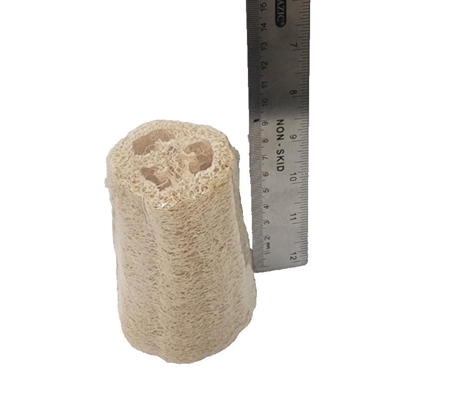 BORGHESE LOOFAH SPONGE