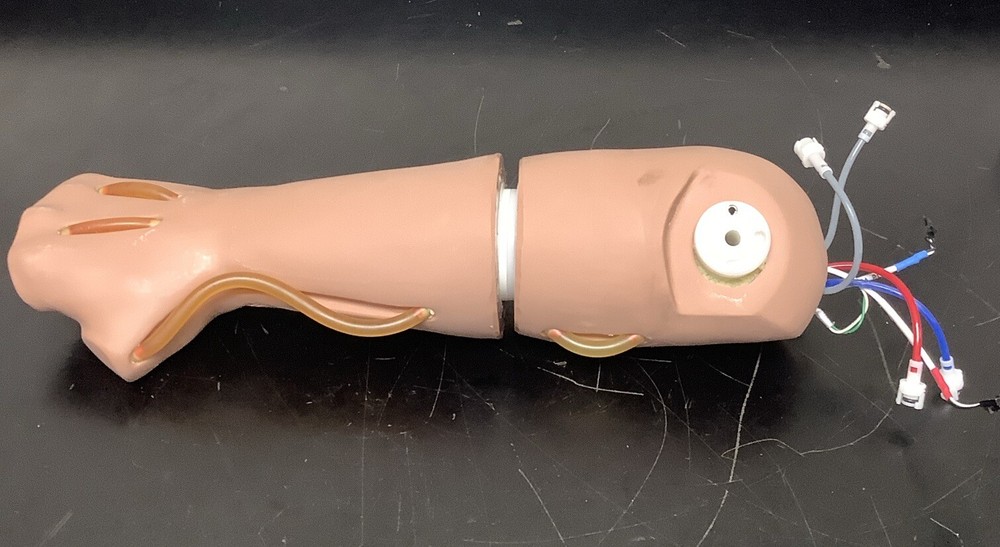 Child Pediatric Multi-Venous IV Training Arm