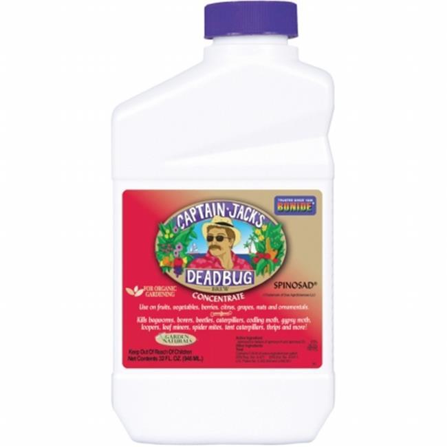 Qt Dead Bug Brew Conc