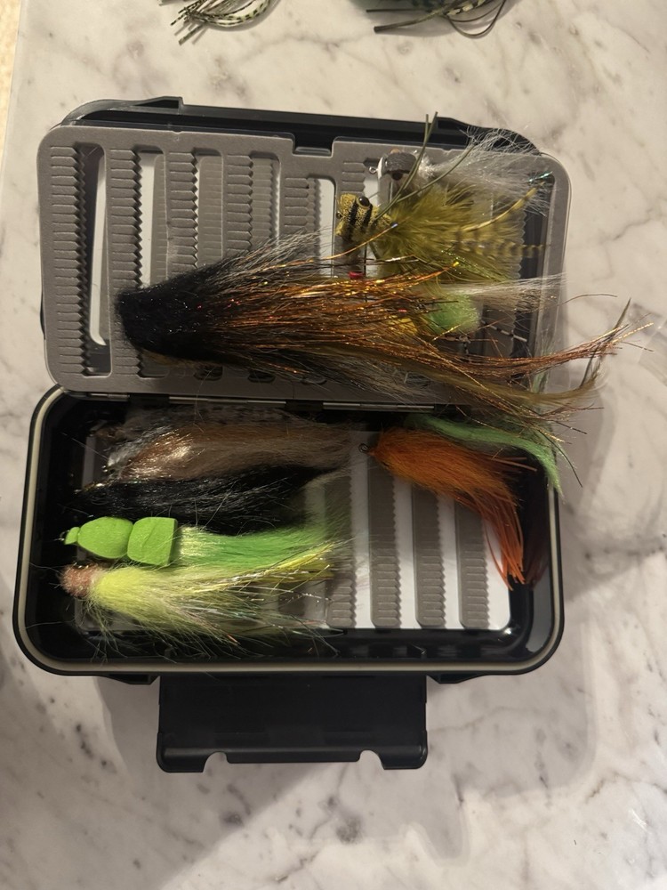 Fishing Fly Box With Various Flies