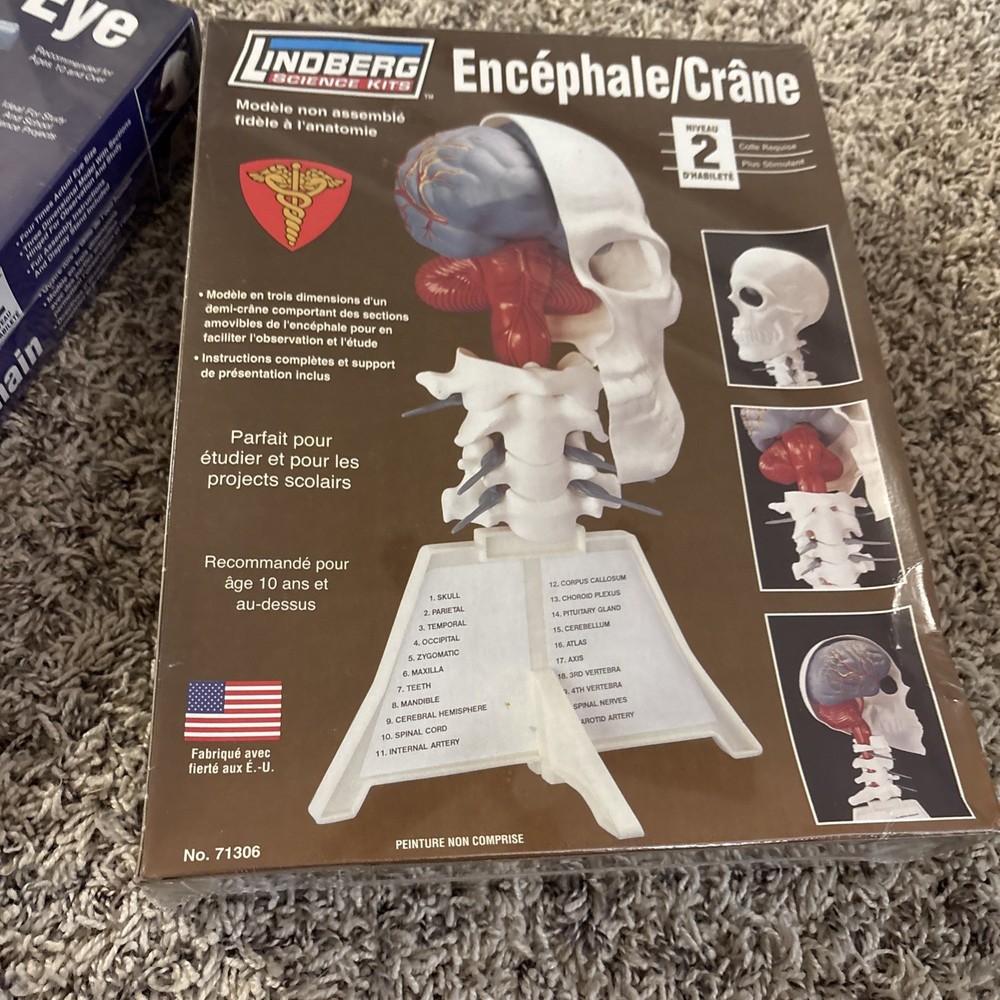 2 Lindberg Model Kits - Brain & Skull, Human Eye,