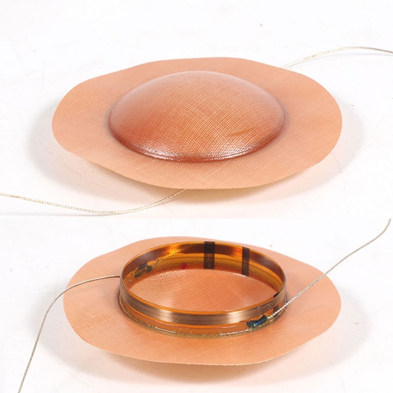 Speaker Replacement Membrane Drive for Head Voice Coil Tweeter Accessory