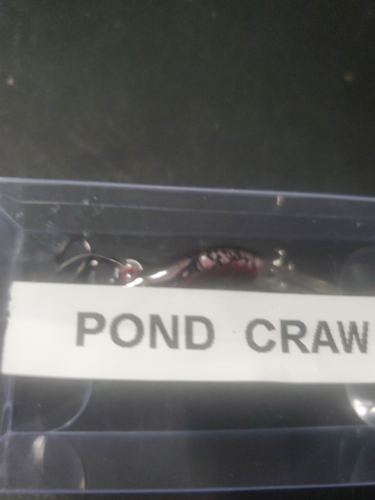 Crawdad Pond Bait