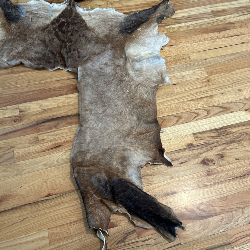 African Antelope Partial Hide (Back Half) – (Left Front) Tanned