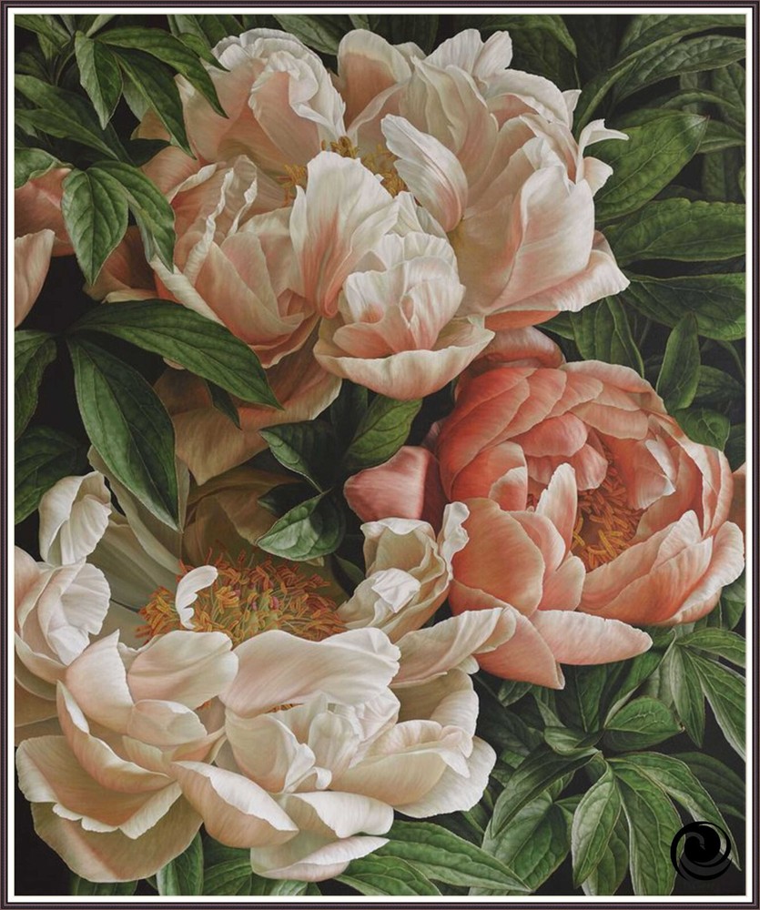 Coral Peony  1381 Chart Counted Cross Stitch Pattern