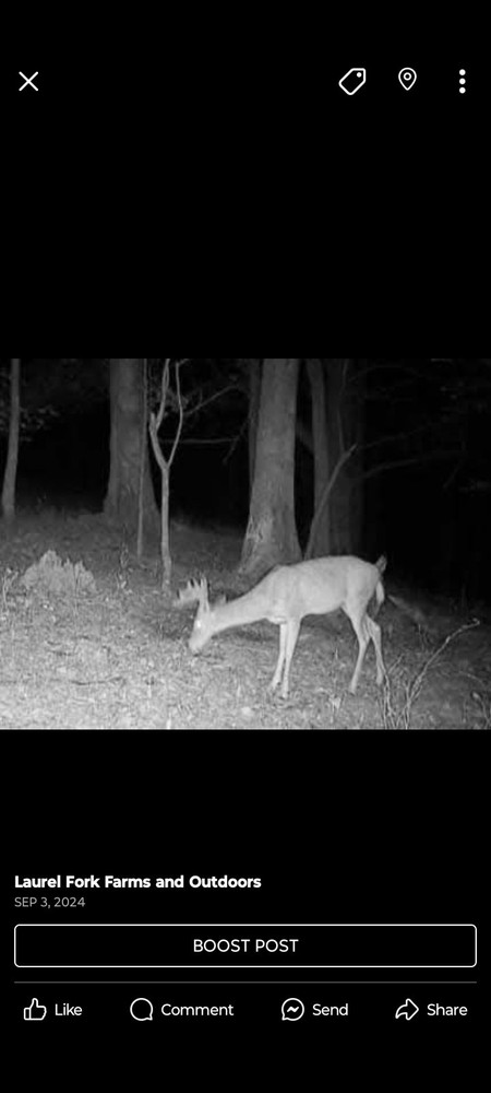 Tag-Out Deer Mineral