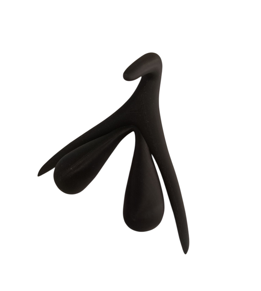 3D Printed Clitoris Anatomy Model • Educational Science Display • Learning Tool