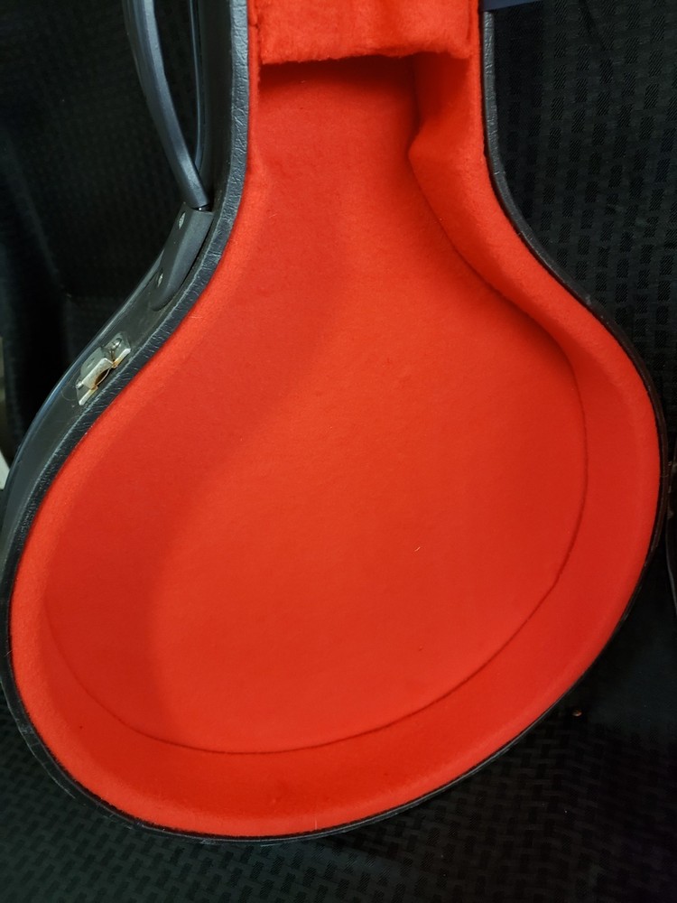 497251 - Unbranded Banjo/Mandolin Case