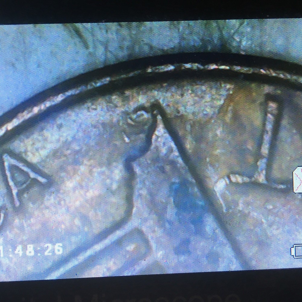 1982p Error Cent~Large date w/Weak FG