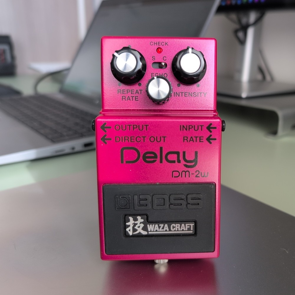 BOSS DELAY DM-2W Waza Craft Fully Working Analog Pedal