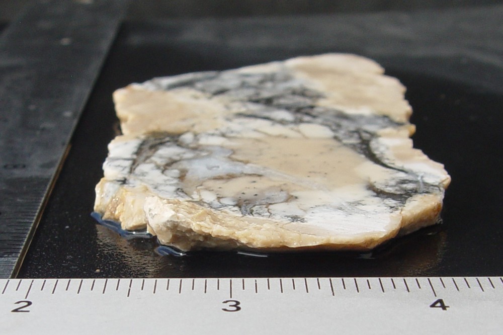Cedar Ridge Dendritic Opal Lapidary Slab T1129