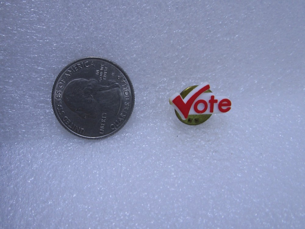 Vote Political Plastic Pin