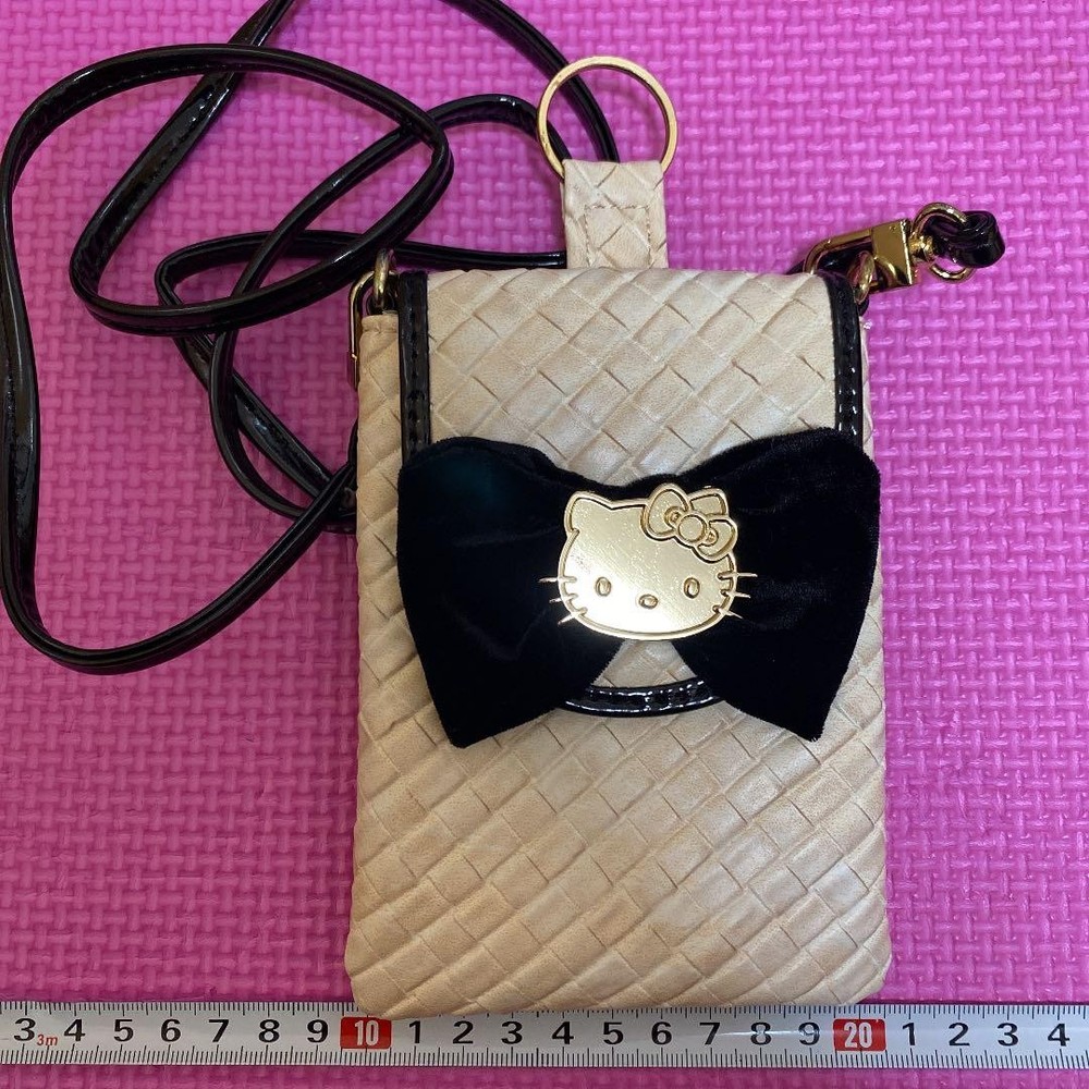︎Hello Kitty Elegant Ribbon Gadget Case
