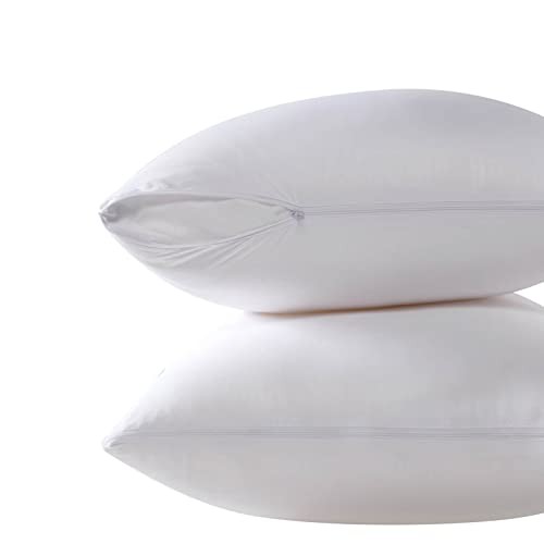 Cooling Bamboo Viscose Feather Proof Queen(20 x 30) White(smooth Surface)