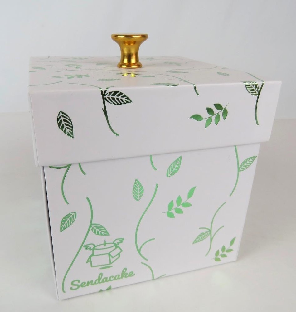 Send A Cake Sendacake Explosion Birthday Gift Box. Box Only + Note card/envelope