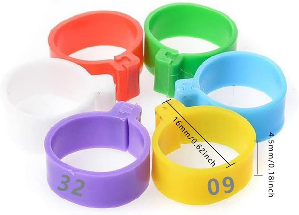 120 Pieces Multicolor Chicken Leg Bands for Poultry Identification