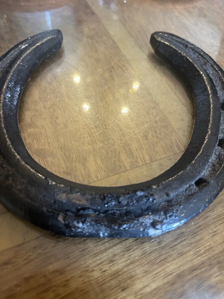 Black Painted Lucky Horseshoe