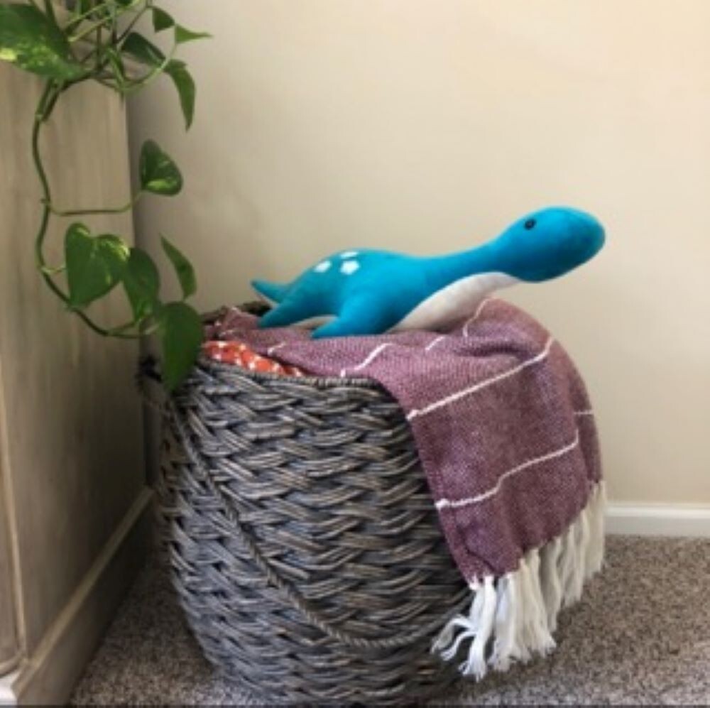 Plesiosaurus Plush Toy, Dinosaur Plush