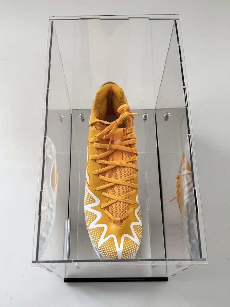 One Shoe Cleat Display Case with Silver Cones, Back Mirror & Risen Mirror Base