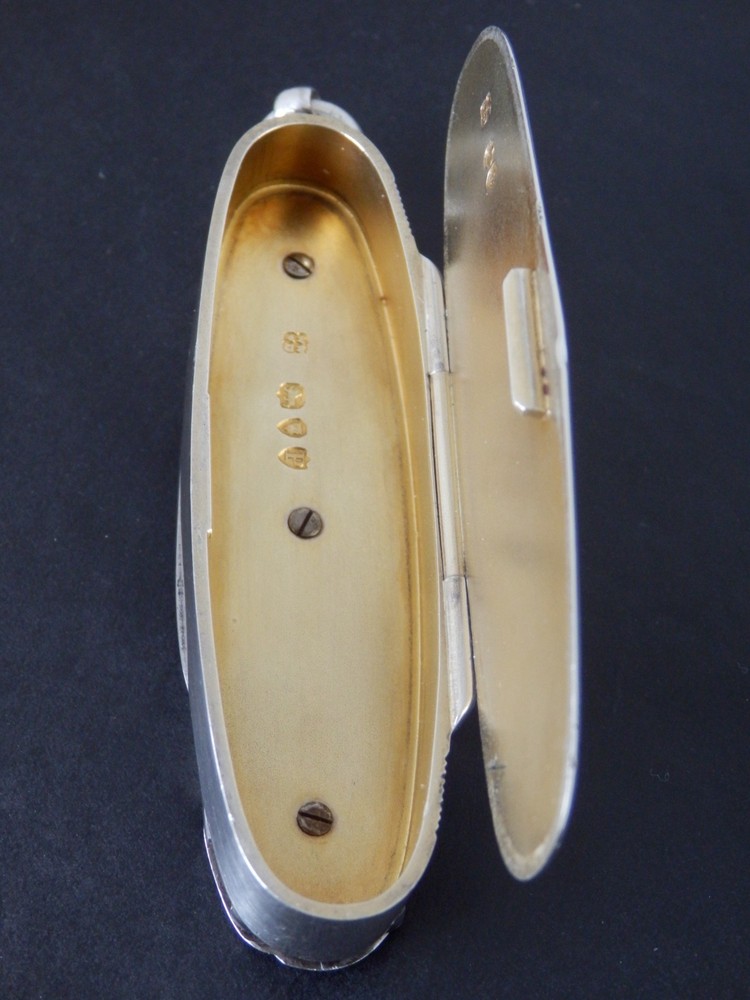 Antique Victorian Wright & Davies Novelty Solid Silver Vesta Case London 1890