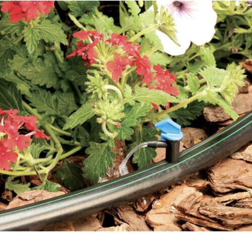 Rain Bird Flag Dripper 2.0 GPH (25 Pack) FE20-25SX