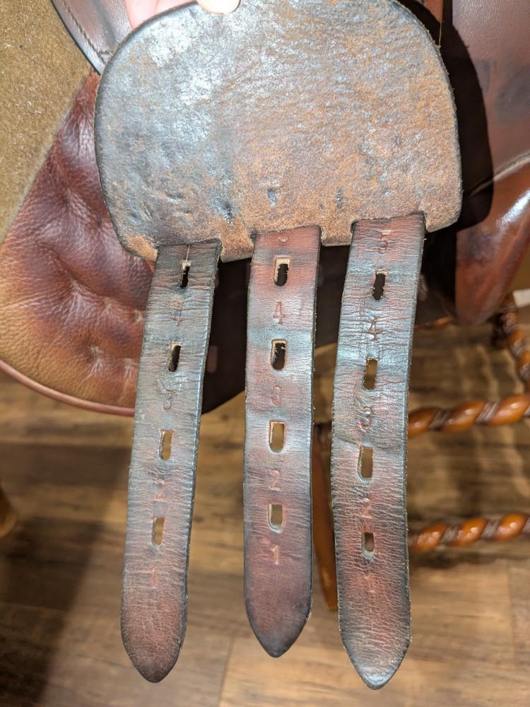 17" MW County Conquest Jump CC Saddle with Forward Flap