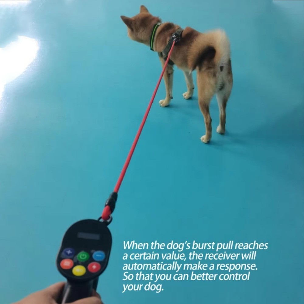 Shock Collar for Dogs No Bark E-Collar Remote Control 5-120lbs Training