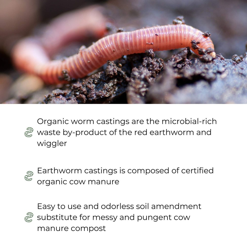Earth Worm Castings – Organic Red Worm Compost Soil Amendment - .13 Cubic Foo...