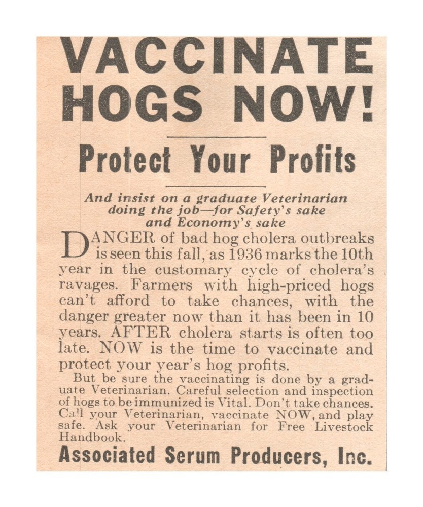 Print Ad 1936 Associated Serum Producers Vaccinate Hogs Protect Profits Cholera