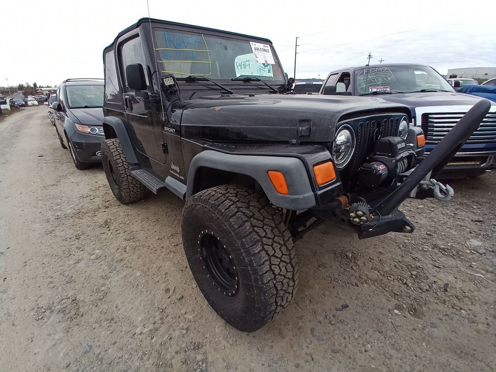 2004 WRANGLER Jack 12825382