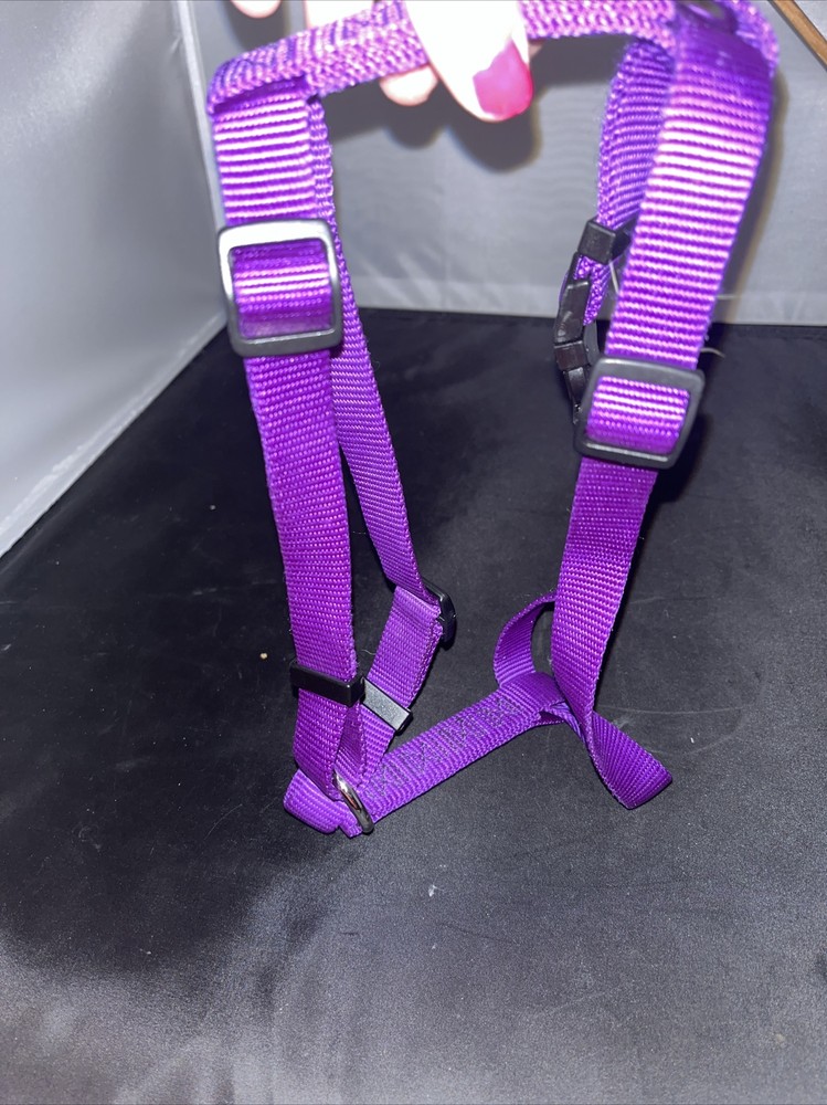 Purple Medium Harness