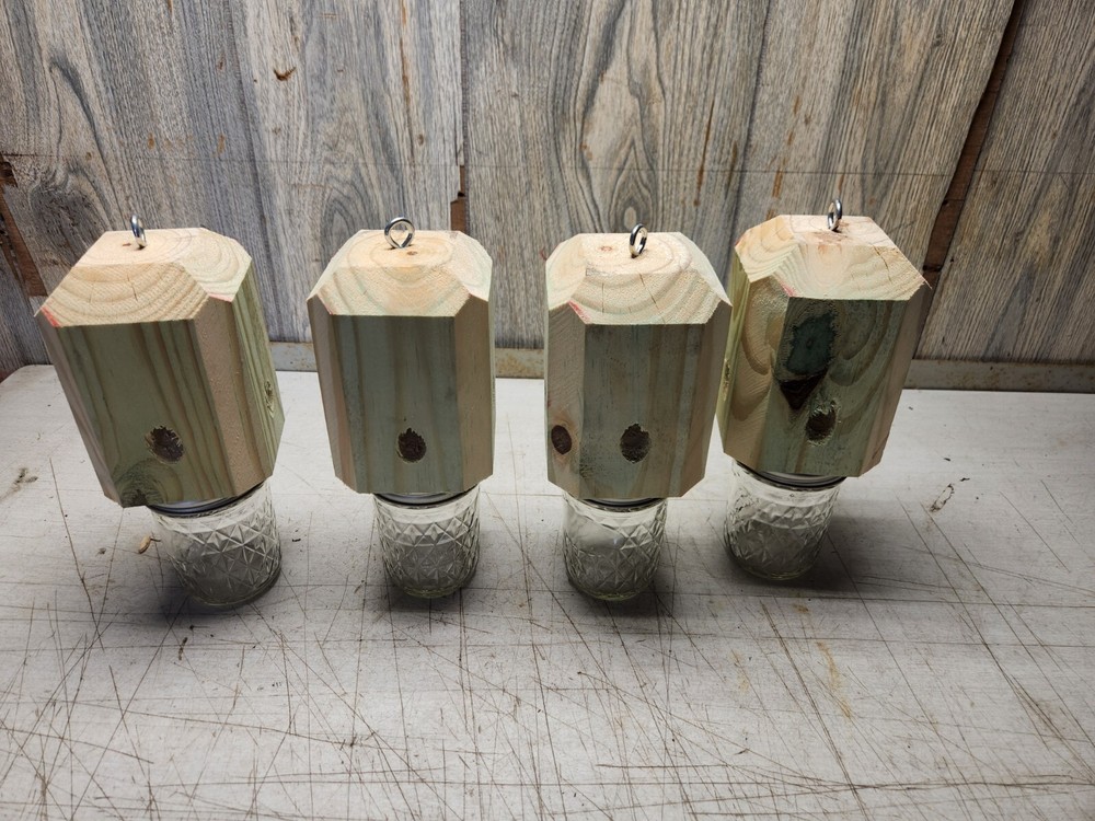 lot of 6 carpenter bee traps