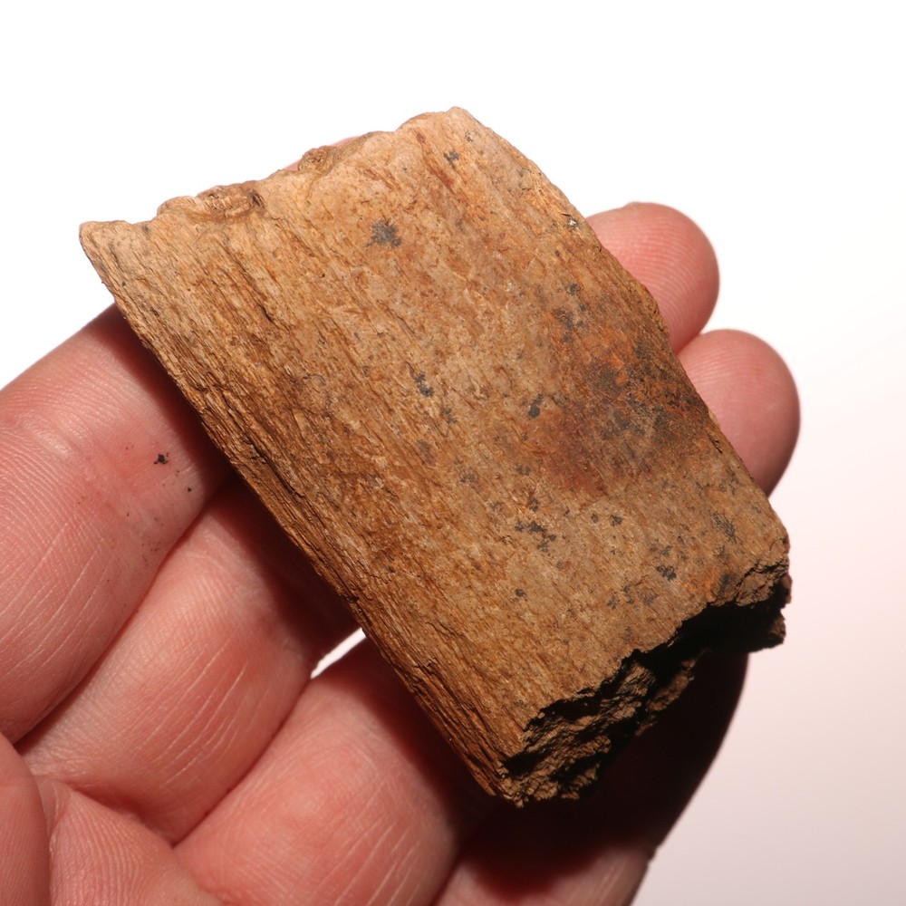Dinosaur Rib Bone Chunk - Hell Creek Formation - CRETACEOUS Dino Fossil