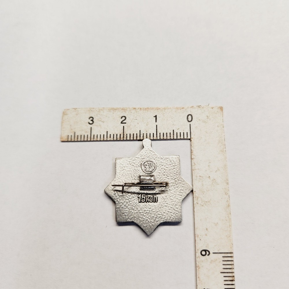 Vintage Russian Pin. A9.