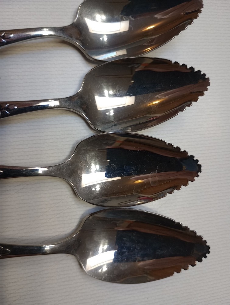 Onida Comunity Stainless Fruit Spoons