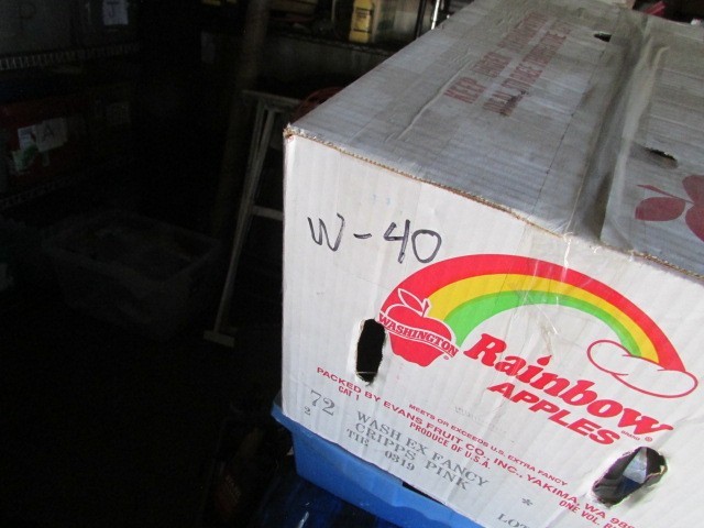 New Cigarette Lighter Assembly Honda