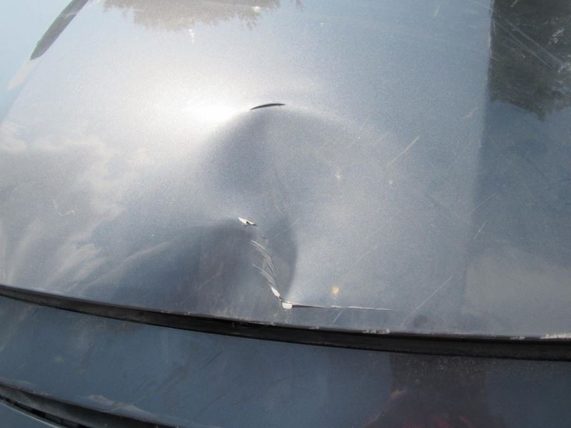 LEGACY 2023 Glove Box 976805