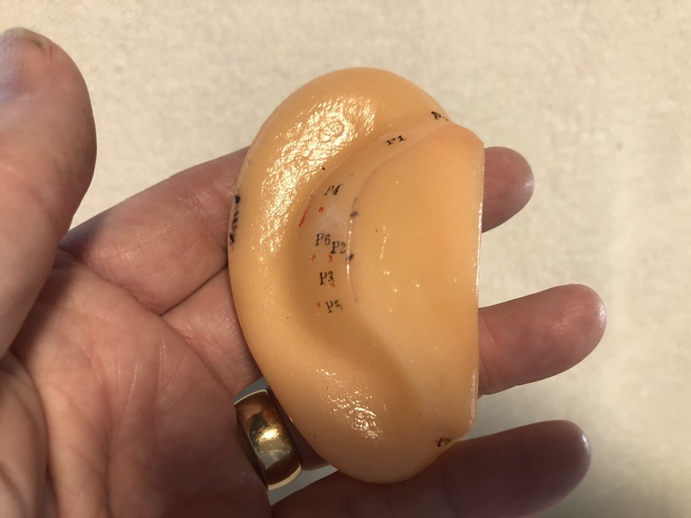 Vtg Human Ear Acupuncture Model w/Acupuncture Points