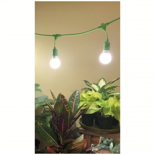 NEW ~ Miracle LED ~ Set of 2 ~ 3-Socket 4 Ft LED - Ready String Lighting ~ Green