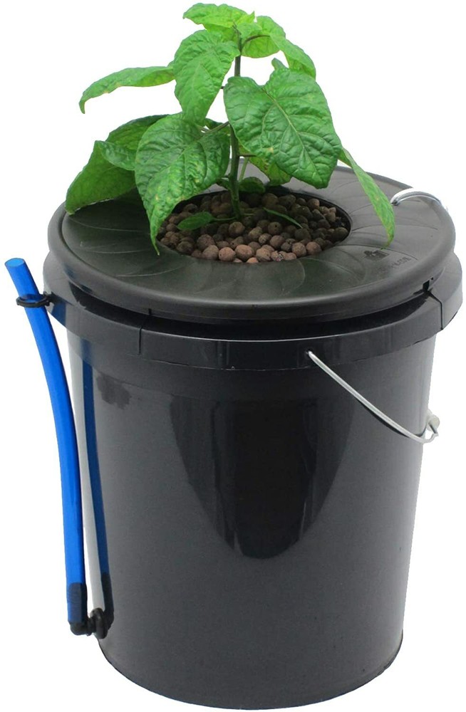 Hydroponics Deep Water Culture DWC Hydroponic System, 5 Gallon