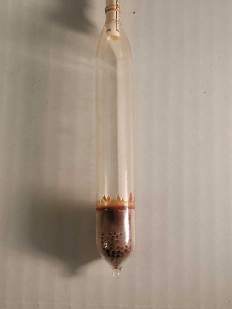 Antique Hydrometer